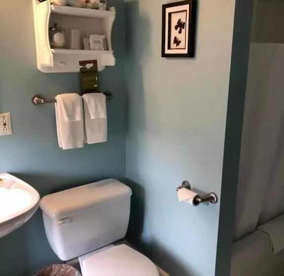 Auberge D Anjou Cocooning Café