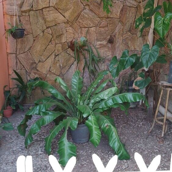 فندق صغير Pousada Espaço Monte Cristo