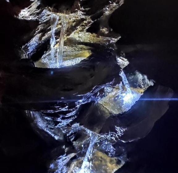 Ludo Apartman Hotel & Spa