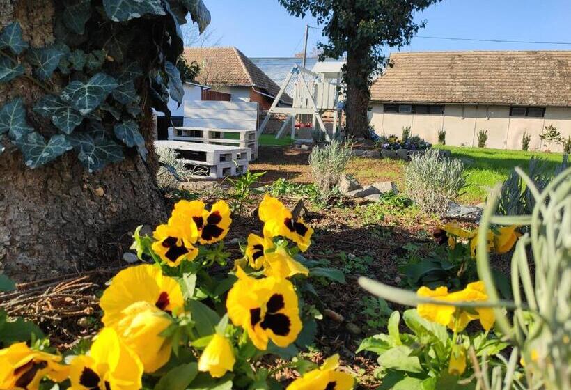 Ludo Apartman Hotel & Spa