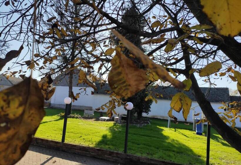 Ludo Apartman Hotel & Spa