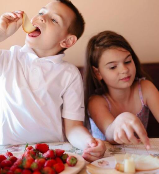 Ludo Apartman Hotel & Spa