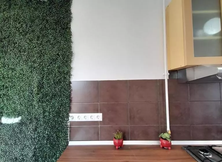 Pannonia Rooms And Apartments