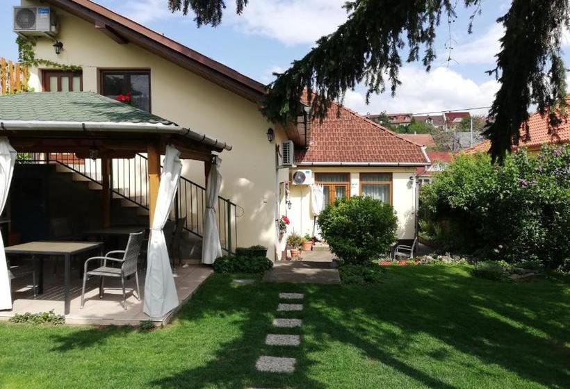 بنسيون Gyöngyszem Vendégház