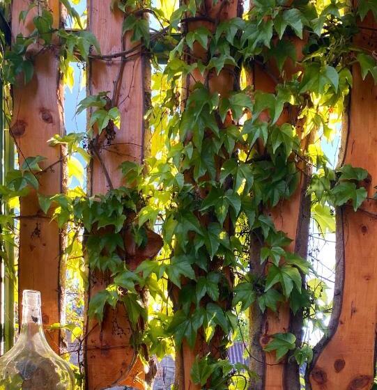 بنسيون Gyöngyszem Vendégház