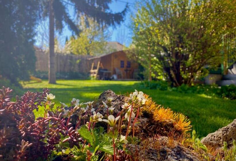 بنسيون Gyöngyszem Vendégház