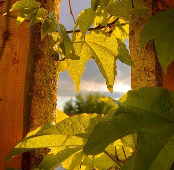 بنسيون Gyöngyszem Vendégház