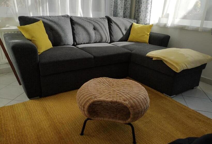 بنسيون Gyöngyszem Vendégház