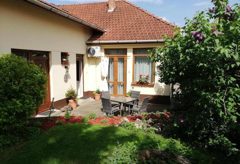 بنسيون Gyöngyszem Vendégház