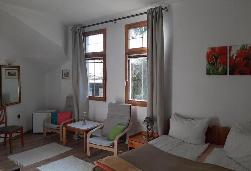 Pensionat Magda Vendégház