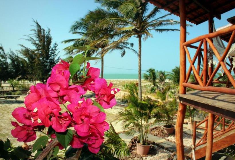 פנסיון Paraiso Da Barra