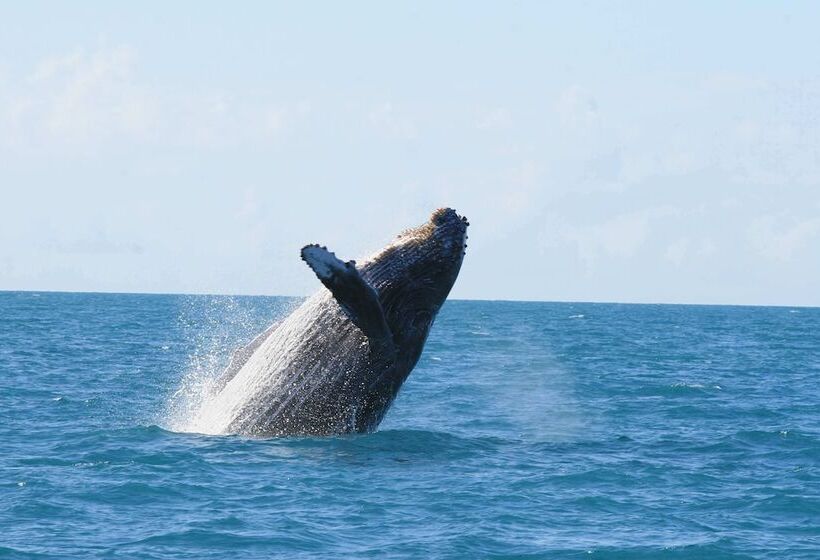 پانسیون Pousada Coral De Fogo