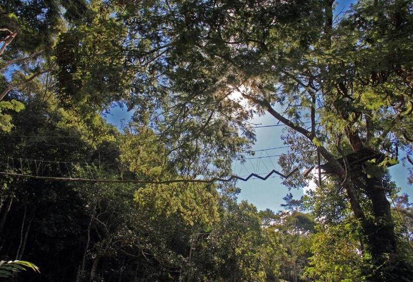 Пансион Pousada Verbicaro