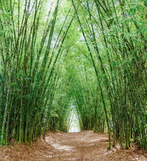 بنسيون Refúgio Do Rio Bonito