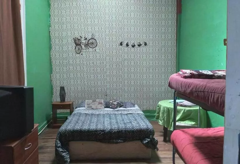 هاستل Hostal Del Gato