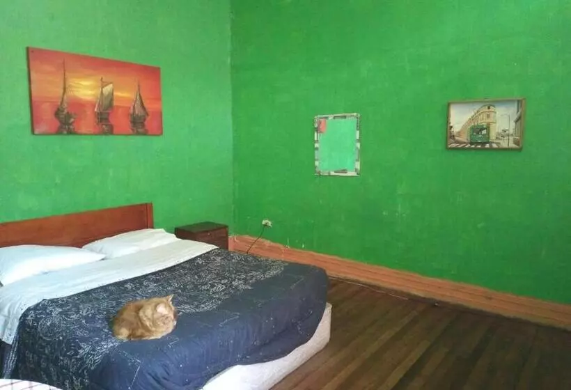 هاستل Hostal Del Gato