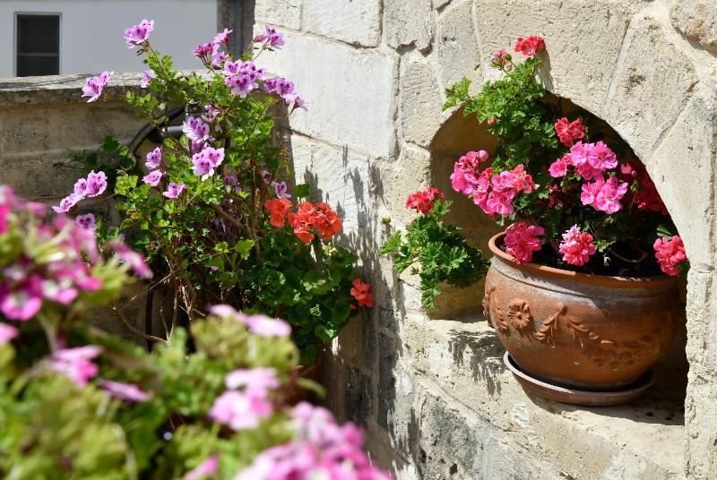 בית מלון כפרי Dimora Duchessina Suites De Charme