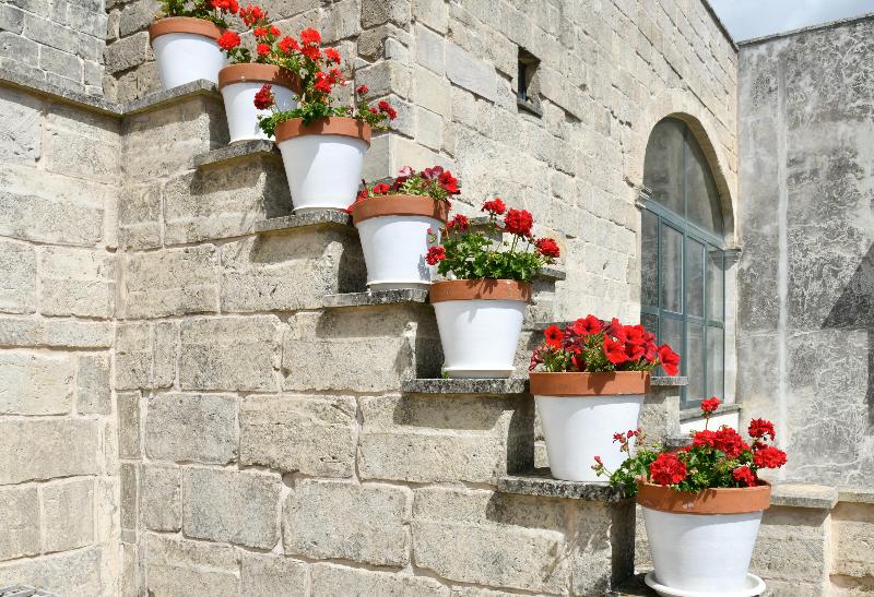 בית מלון כפרי Dimora Duchessina Suites De Charme