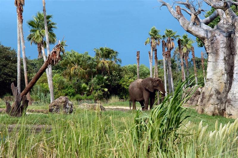 هتل Hyatt House Orlando International Drive