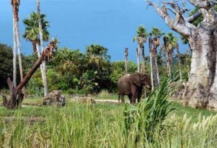 هتل Hyatt House Orlando International Drive