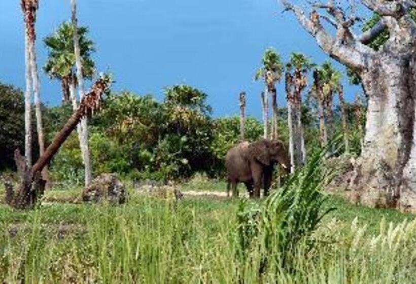 هتل Hyatt House Orlando International Drive