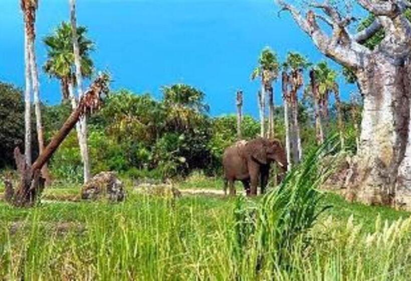 هتل Hyatt House Orlando International Drive