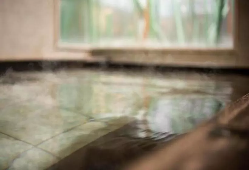 Super Hotel Gotenba   1