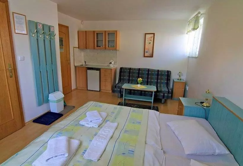 پانسیون Guest House Maxim