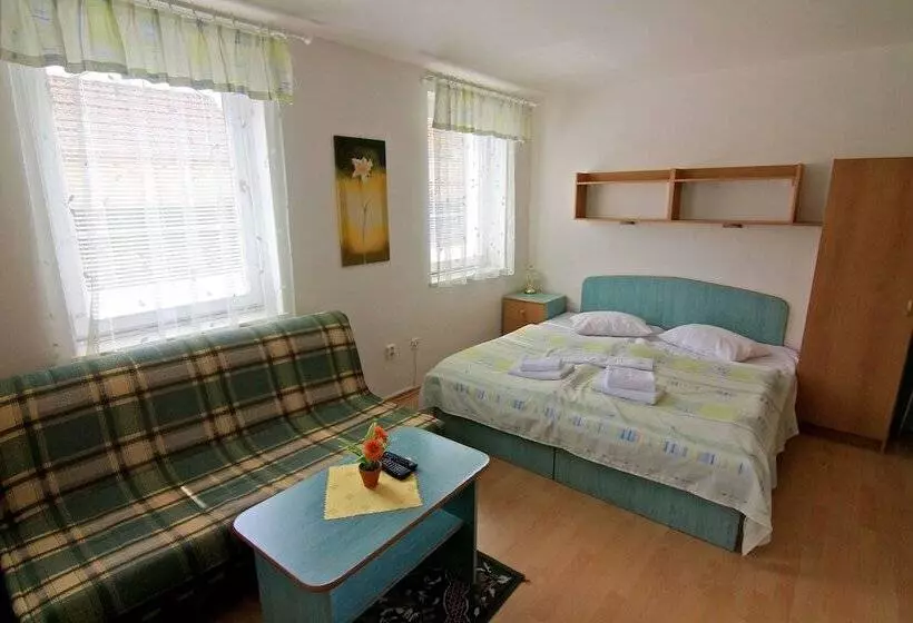 پانسیون Guest House Maxim