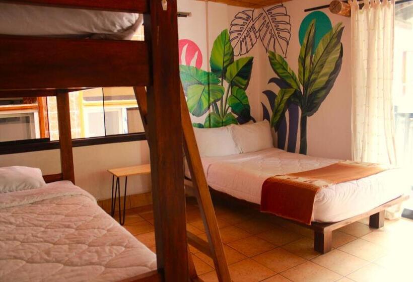 Supertramp Hostel Machupicchu