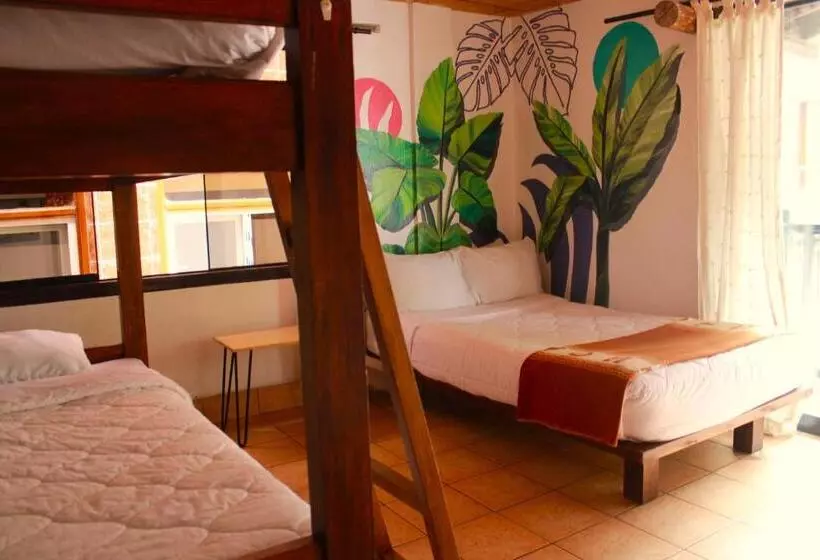 Supertramp Hostel Machupicchu