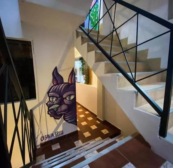 Supertramp Hostel Machupicchu