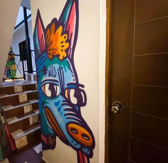 Supertramp Hostel Machupicchu