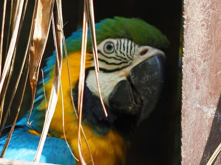 호텔 Reserva Natural Tierra Adentro