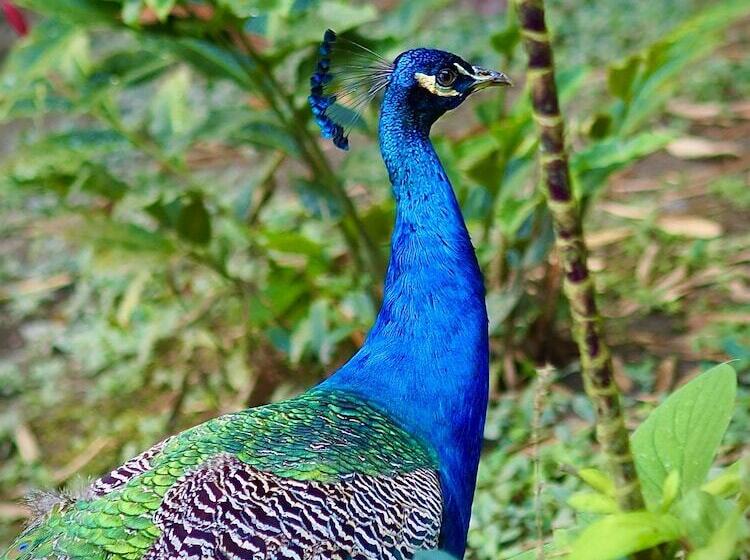 호텔 Reserva Natural Tierra Adentro