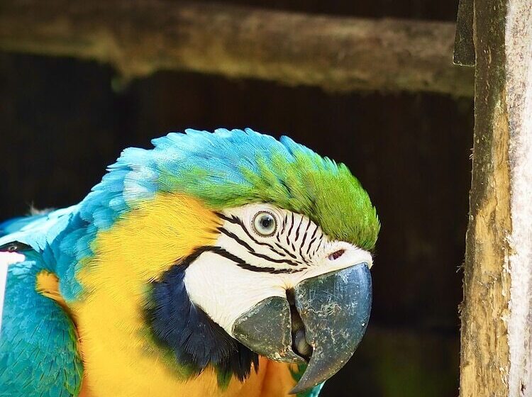 호텔 Reserva Natural Tierra Adentro