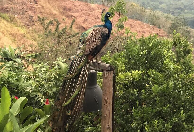 호텔 Reserva Natural Tierra Adentro