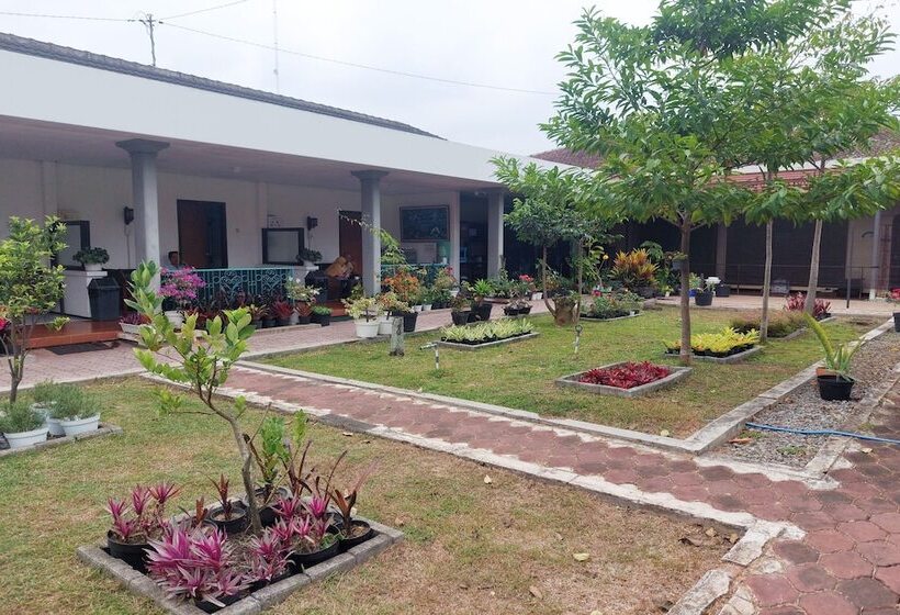 فندق Vanda Villa