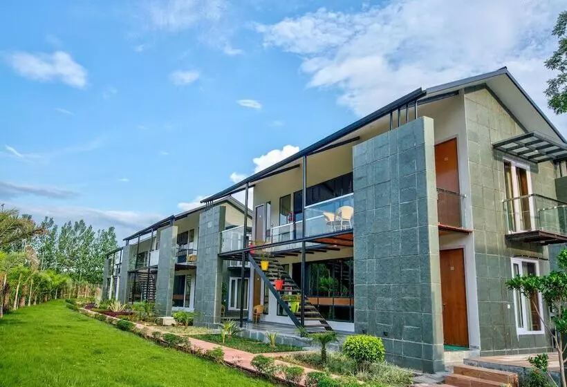 Palette   The Cloyster Spa & Resort