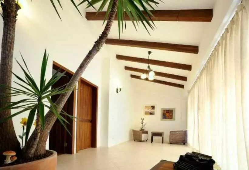 Sunlax B&b