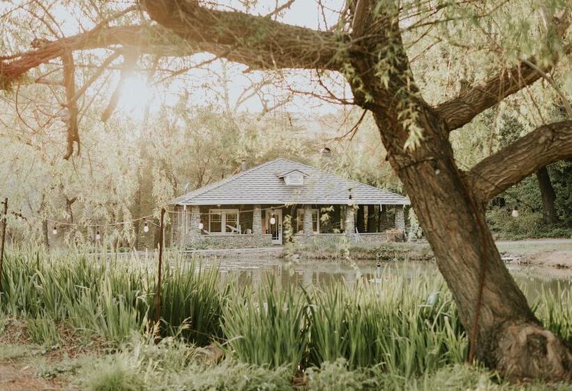 住宿加早餐  Bed & Barrel At Stonehouse Cellars