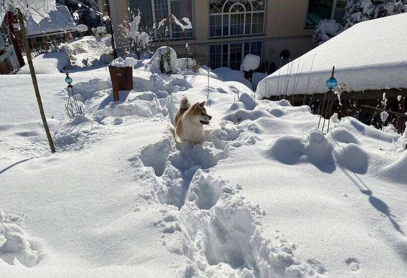 Boutiquehotel Bergvilla