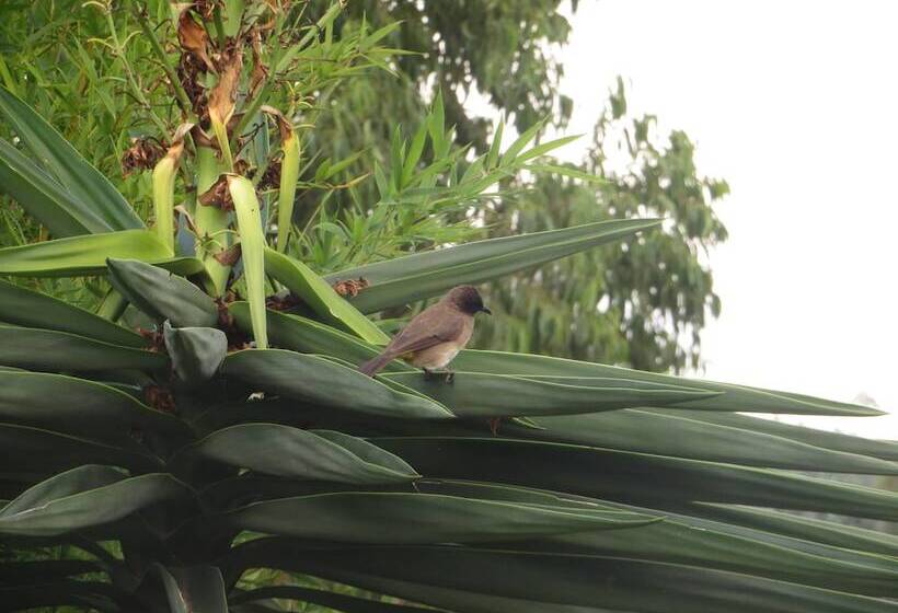 مسافرخانه Filon D'or Guesthouse And Campsite