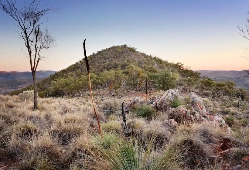 Hostelli Pichi Richi Park