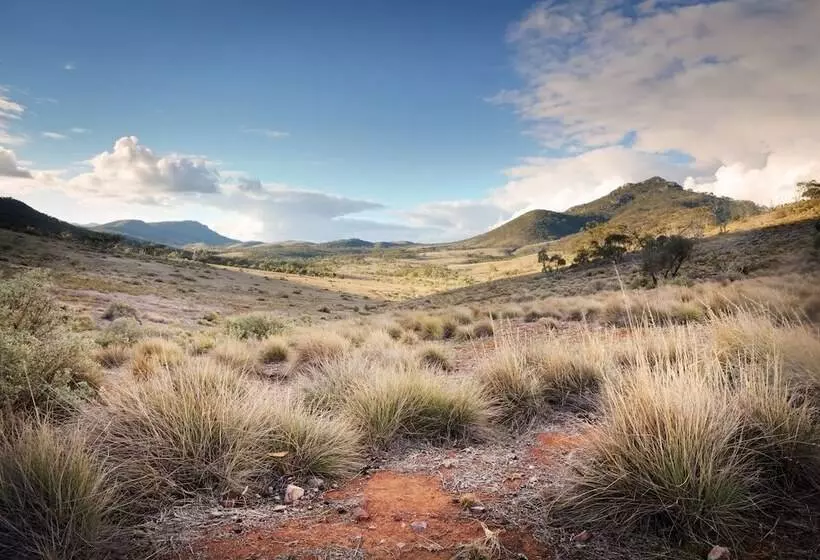 Hostelli Pichi Richi Park