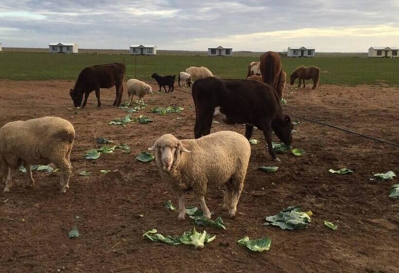 פונדק Tarnasey Farm