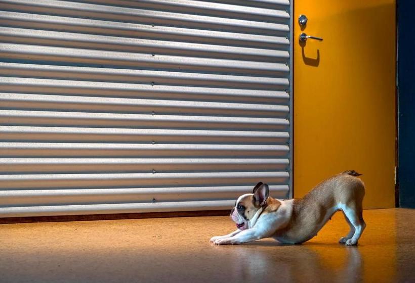 여관 The Dome House