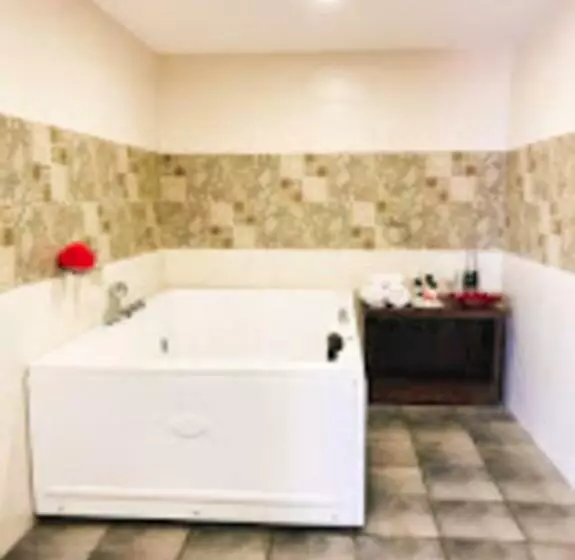 ホテル De Falcon Goa Beach Resort