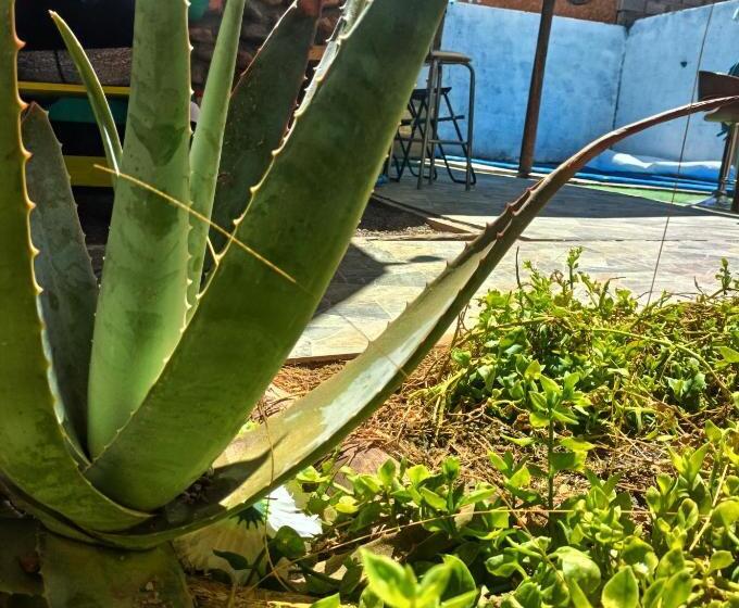 בית מלון כפרי Ecoluna Lodge   Hostel