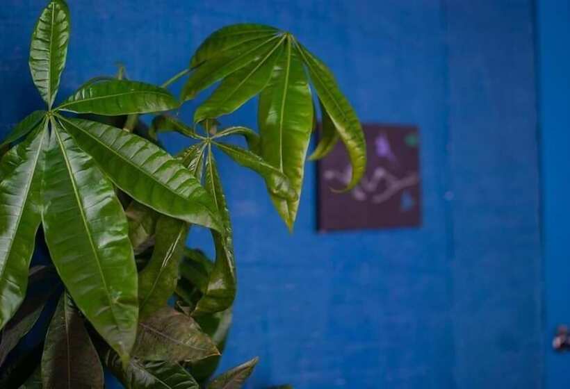 בית מלון כפרי Ecoluna Lodge   Hostel